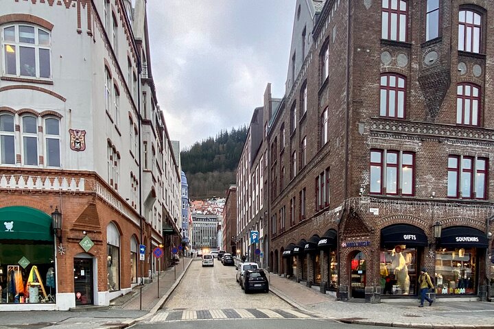 Zero Emission Bergen City Tour By Car - Image 3