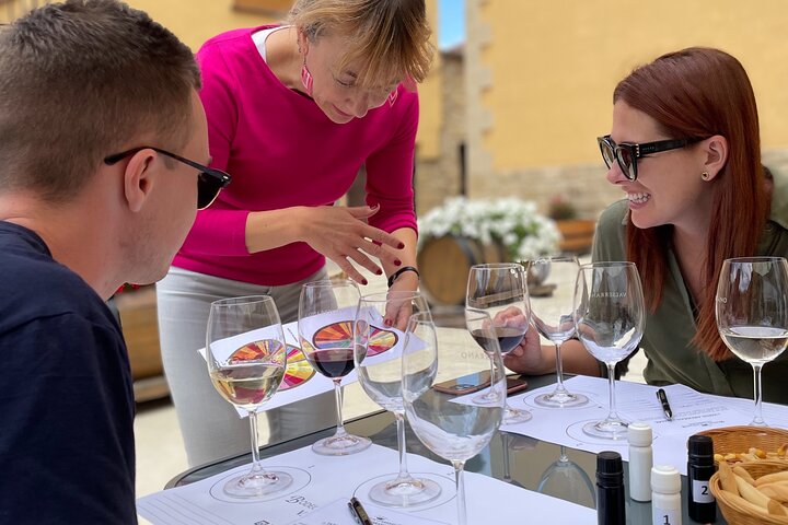 A Sip-By-Sip Tour of 3 Boutique Rioja Family Wineries (Private Tour with Lunch) - Image 2