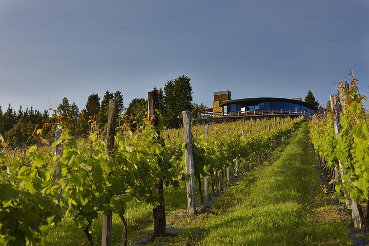 Bilbao Txakoli Wine Tour - Image 2
