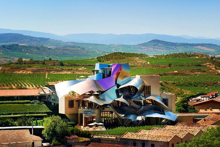 Full Day Private Tour to Rioja Wine Tour with Lunch from Bilbao - Image 5