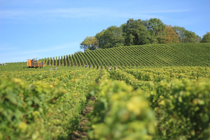 Full Day Private Tour to Rioja Wine Tour with Lunch from Bilbao - Image 1