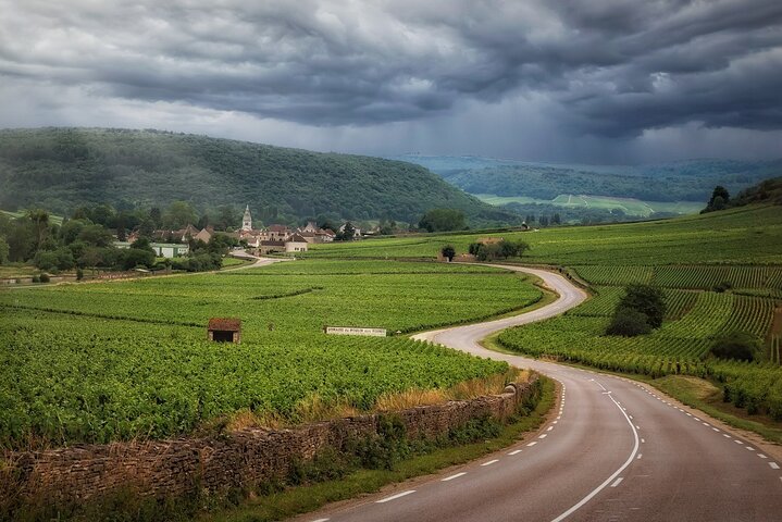 Full Day Private Tour to Rioja Wine Tour with Lunch from Bilbao - Image 3
