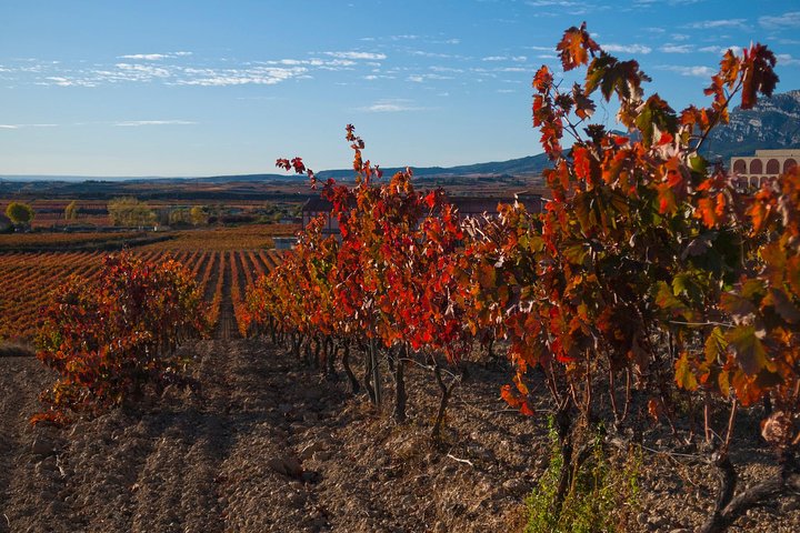 Luxury La Rioja Wineries Private Tour - Image 2