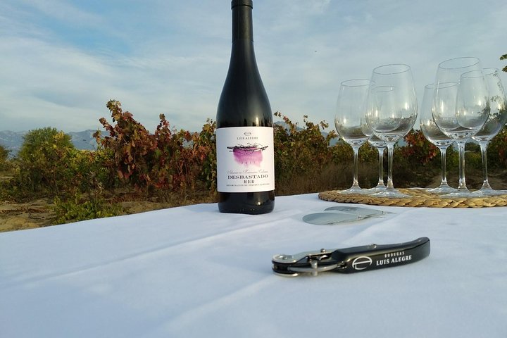 Rioja Wine Tour: Winery & Traditional Lunch From Bilbao - Image 5