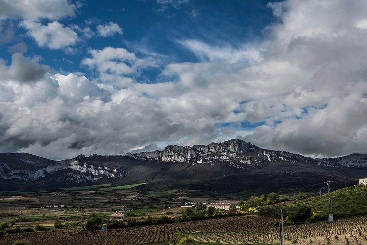 Rioja Wine Tour: Winery & Traditional Lunch From Bilbao - Image 4