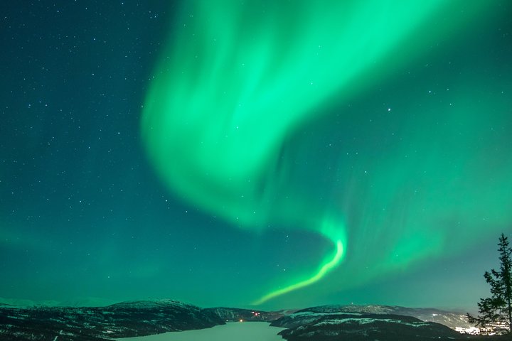Northern Light safari - Image 1
