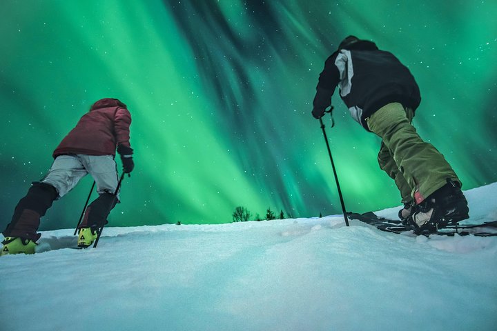 Northern Light safari - Image 2