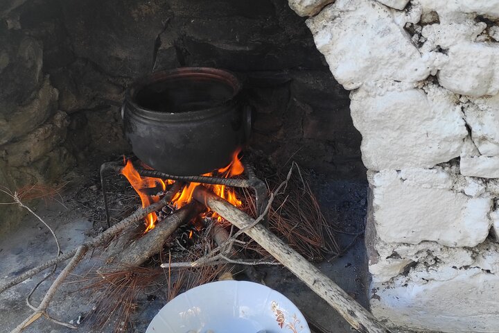 Bodrum Rustic Lunch and Olive Tasting Tour - Image 2