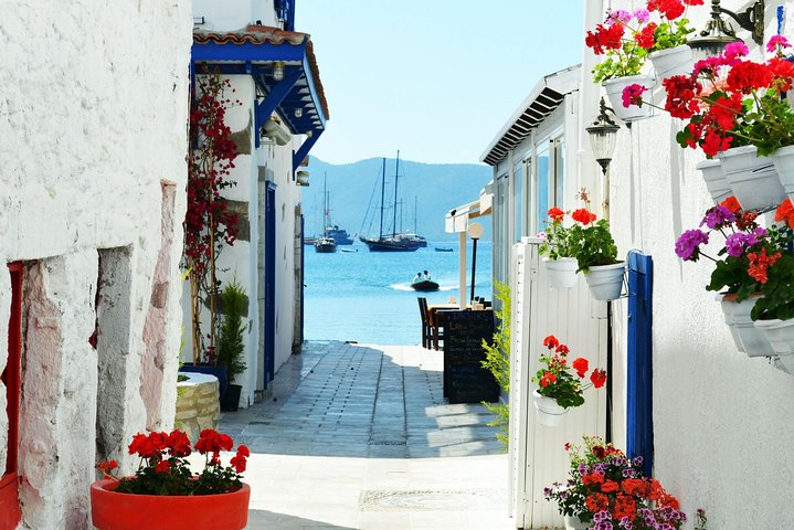 Bodrum Shore Excursion: Private Bodrum Express Sightseeing Tour - Image 5