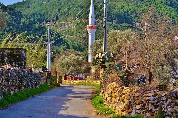 Bodrum Village Tour with Group - Image 2
