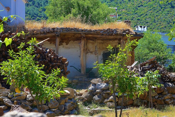 Bodrum Village Tour with Group - Image 3