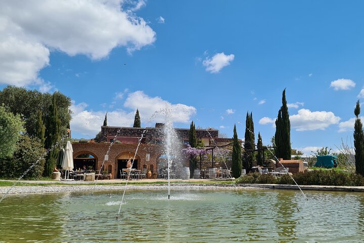 Chef's Table Ultimate Sensory Food Experience in Bodrum City - Image 2