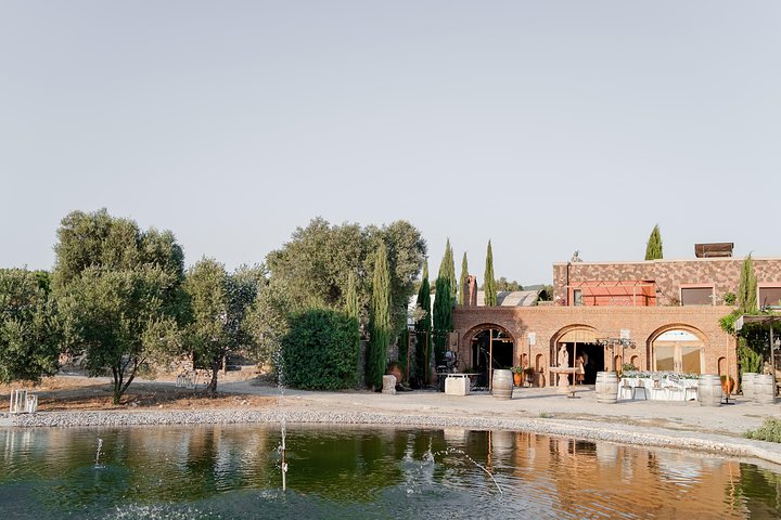 Food and Wine pairing Dinner at Karnas Vineyards Bodrum - Image 3