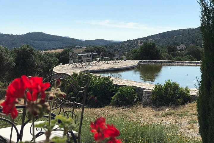 Food and Wine pairing Dinner at Karnas Vineyards Bodrum - Image 5