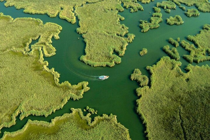 Full Day Dalyan (Turtle Beach) From Bodrum - Image 1