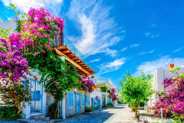 Private Walking and Shopping Tour in Bodrum - Image 3