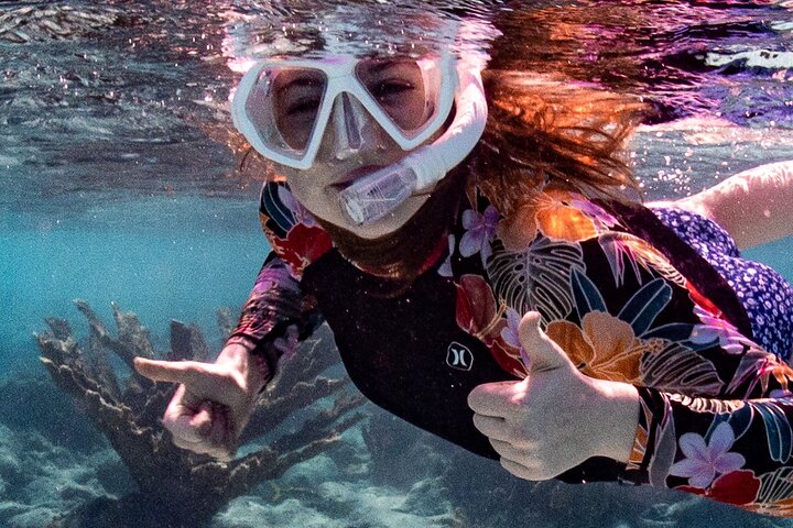 Combi Island (Southside)-snorkeling tour - Image 5