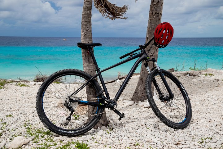 Mountainbike 1 day rental - Image 2