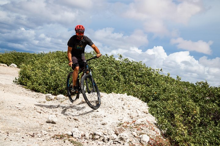Mountainbike rental 1 week - Image 1