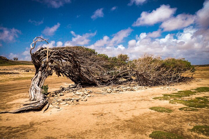 North Bonaire Private Island Tour - Image 1