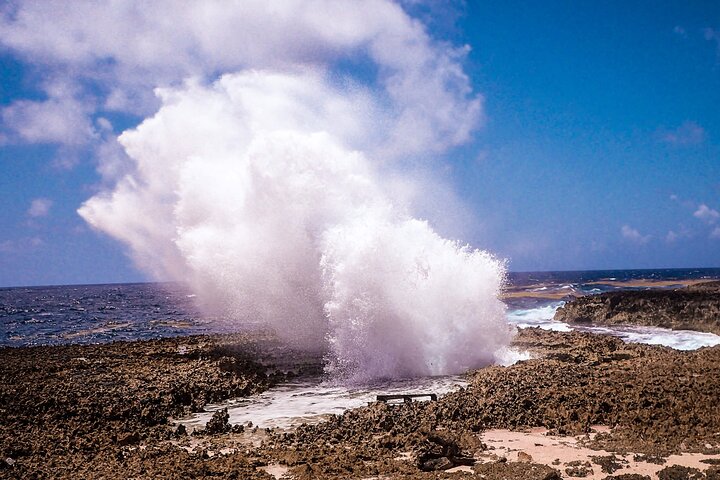 North Bonaire Private Island Tour - Image 2