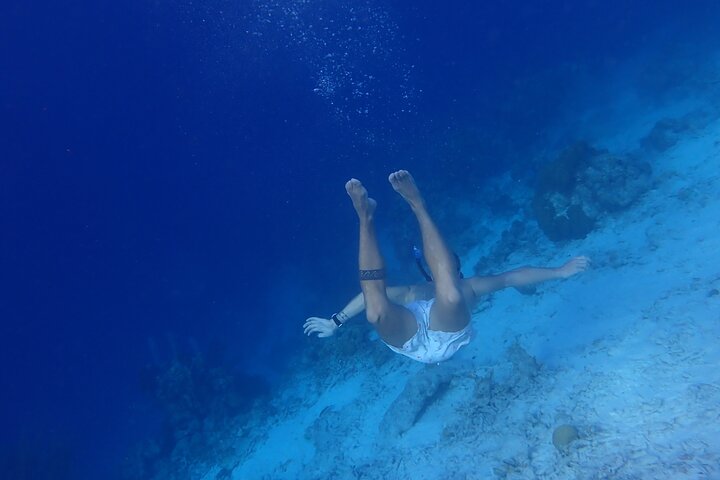 snorkel marathon - Image 5