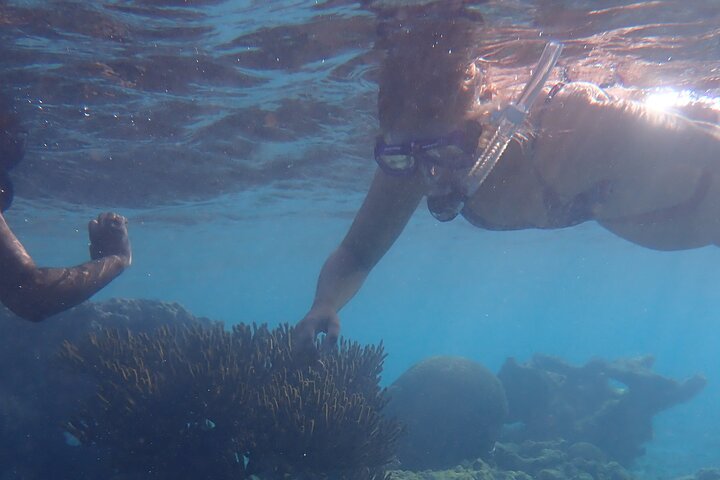 snorkel marathon - Image 2