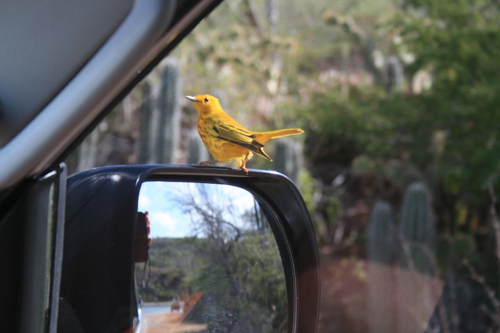 South Highlight Tour with Local Guide - Image 2