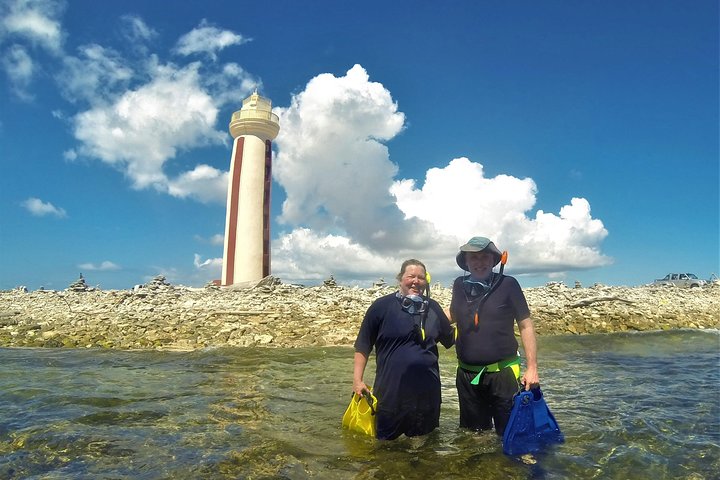 South Island tour and Snorkel combo - Image 4