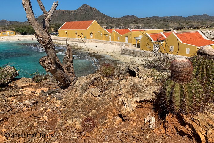 Washington Park Tour with Local Guide on Bonaire - Image 1