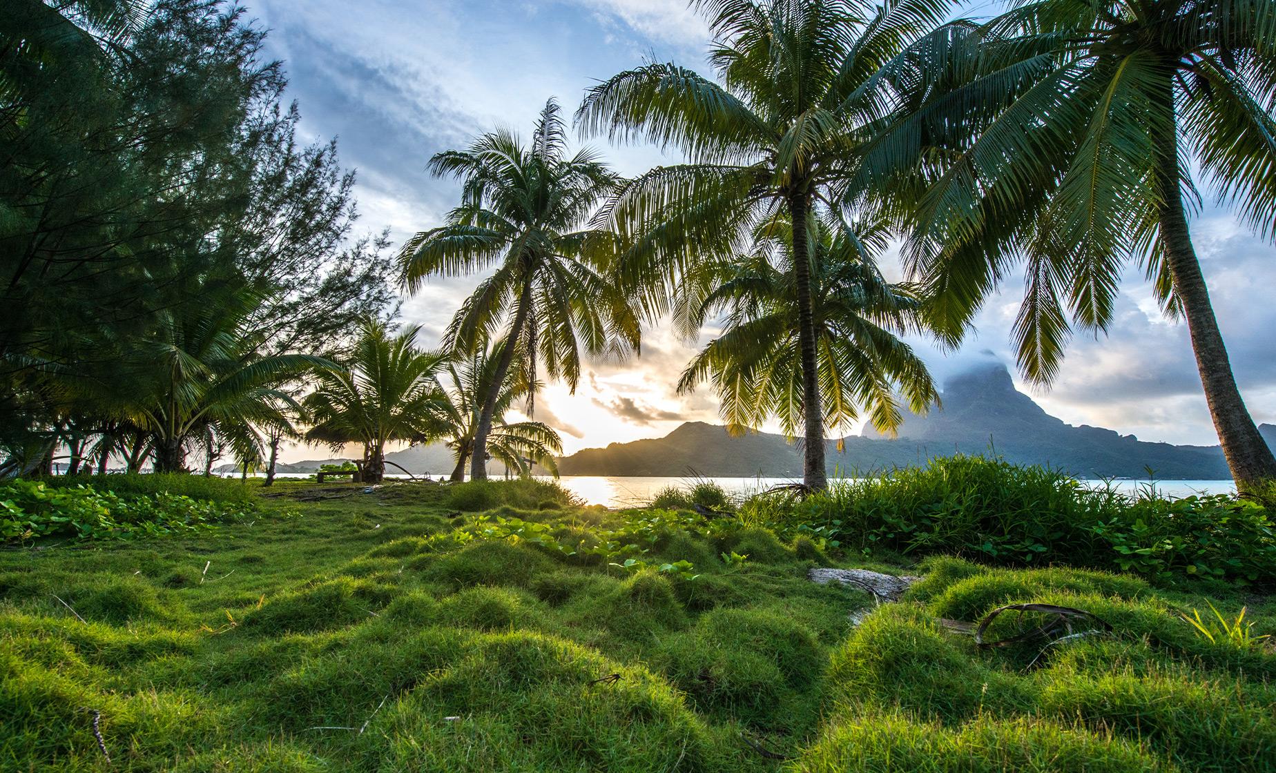 Bora Bora 4WD Trek - Image 1