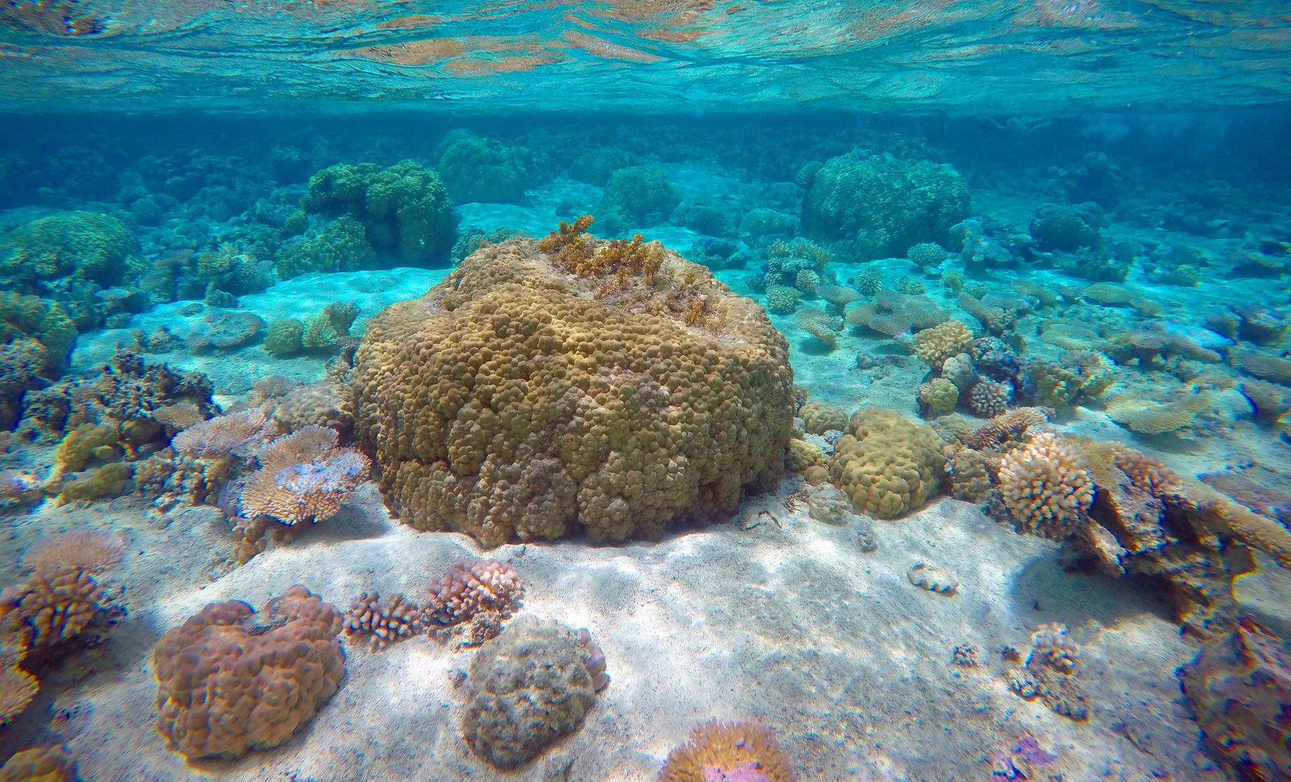 Private Lagoon Extravaganza - Half Day - Image 1