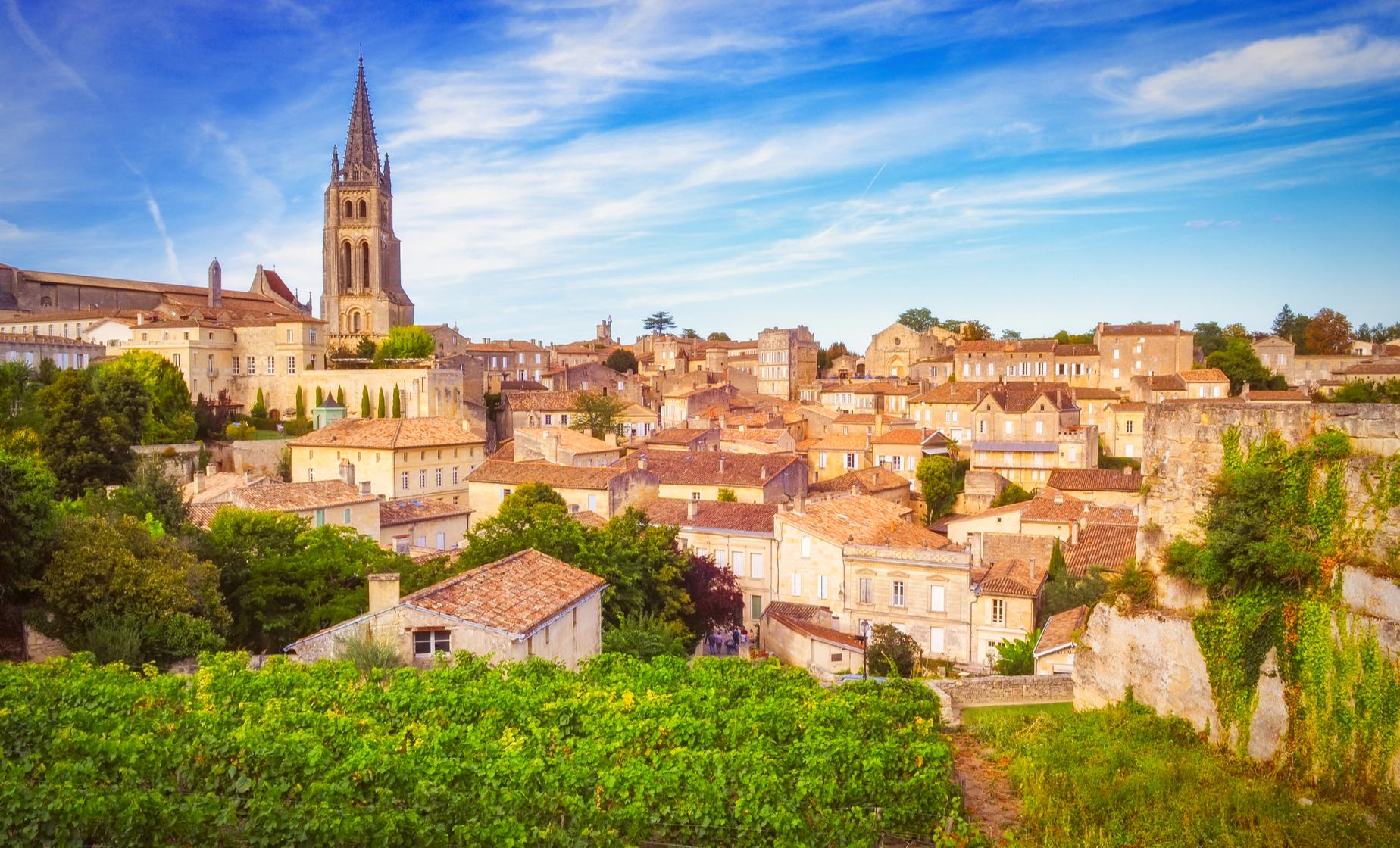 Private Half Day Bordeaux - Image 1