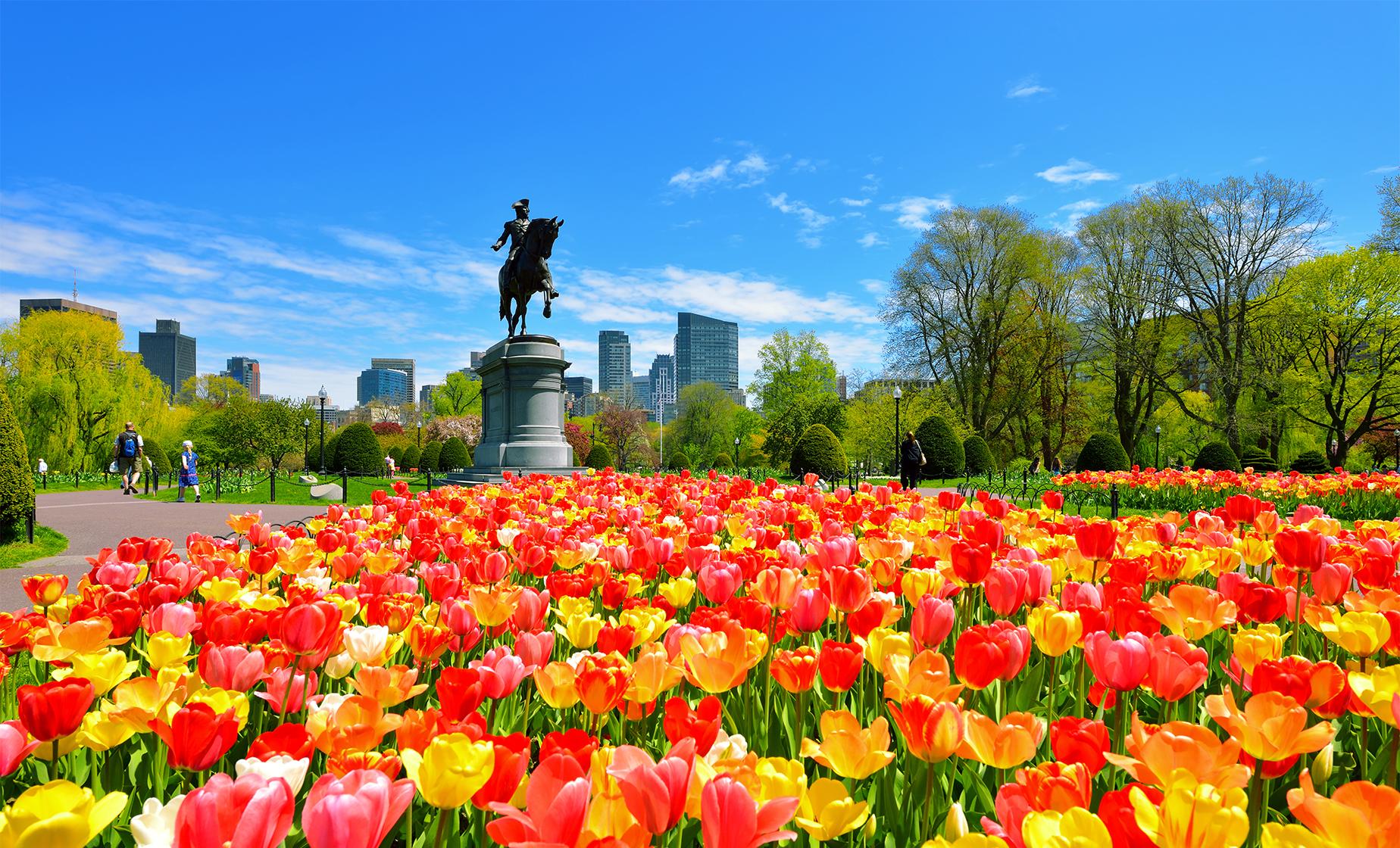 Boston Freedom Trail Walking Photo Tour - Image 1