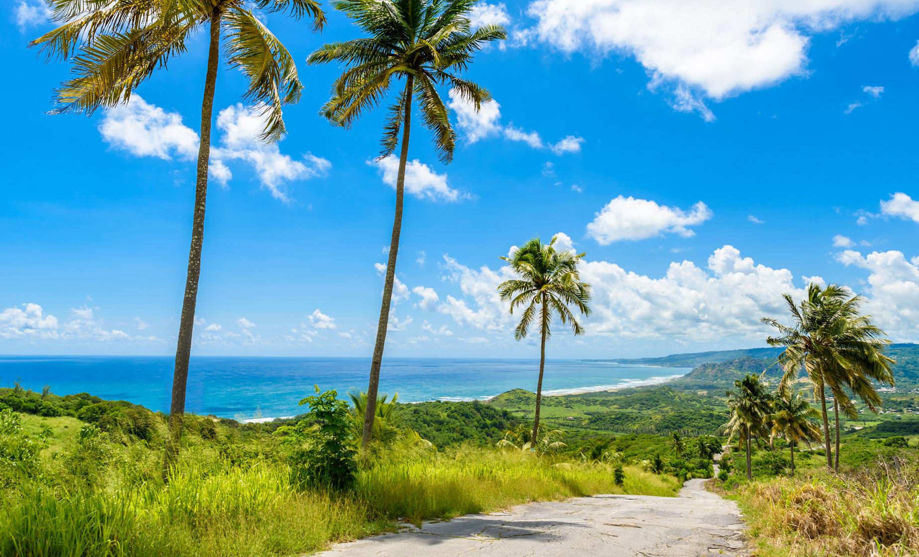 Bajan Paradise - Image 1