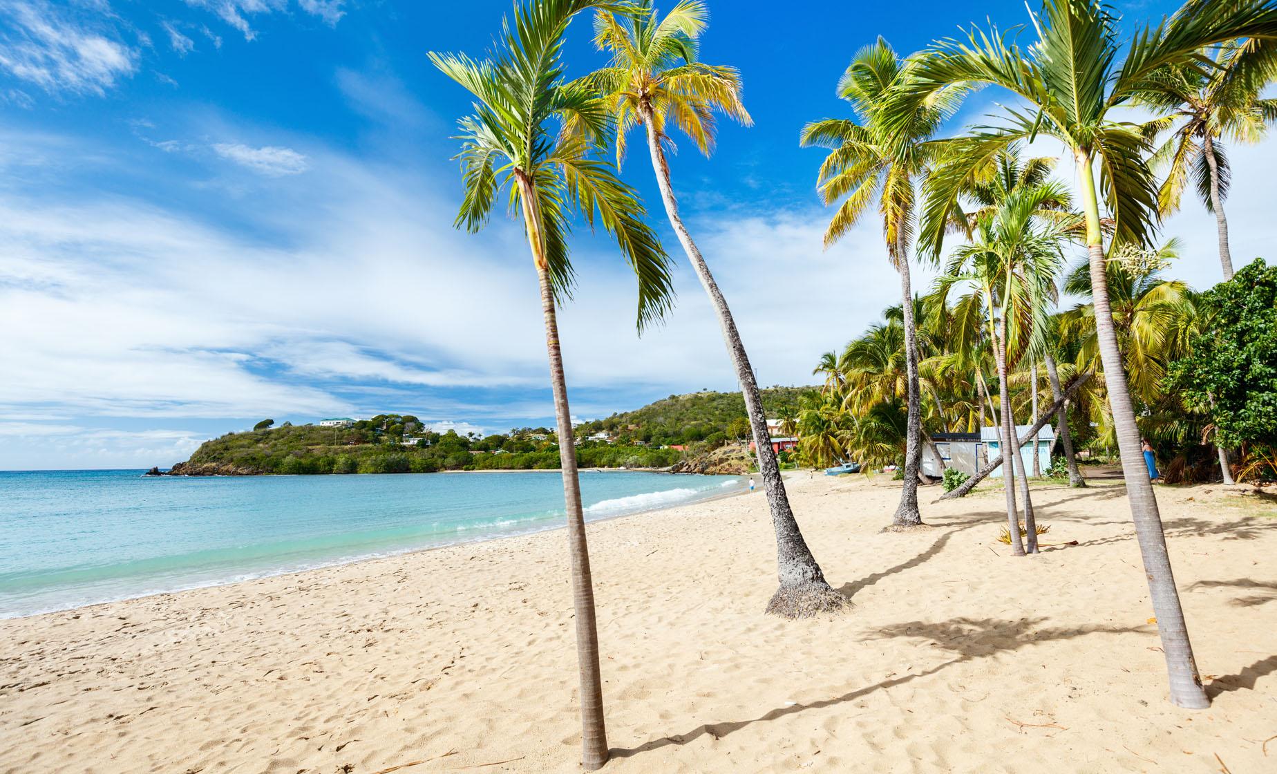 Barbados Beach Day and Turtle Swim - Image 1