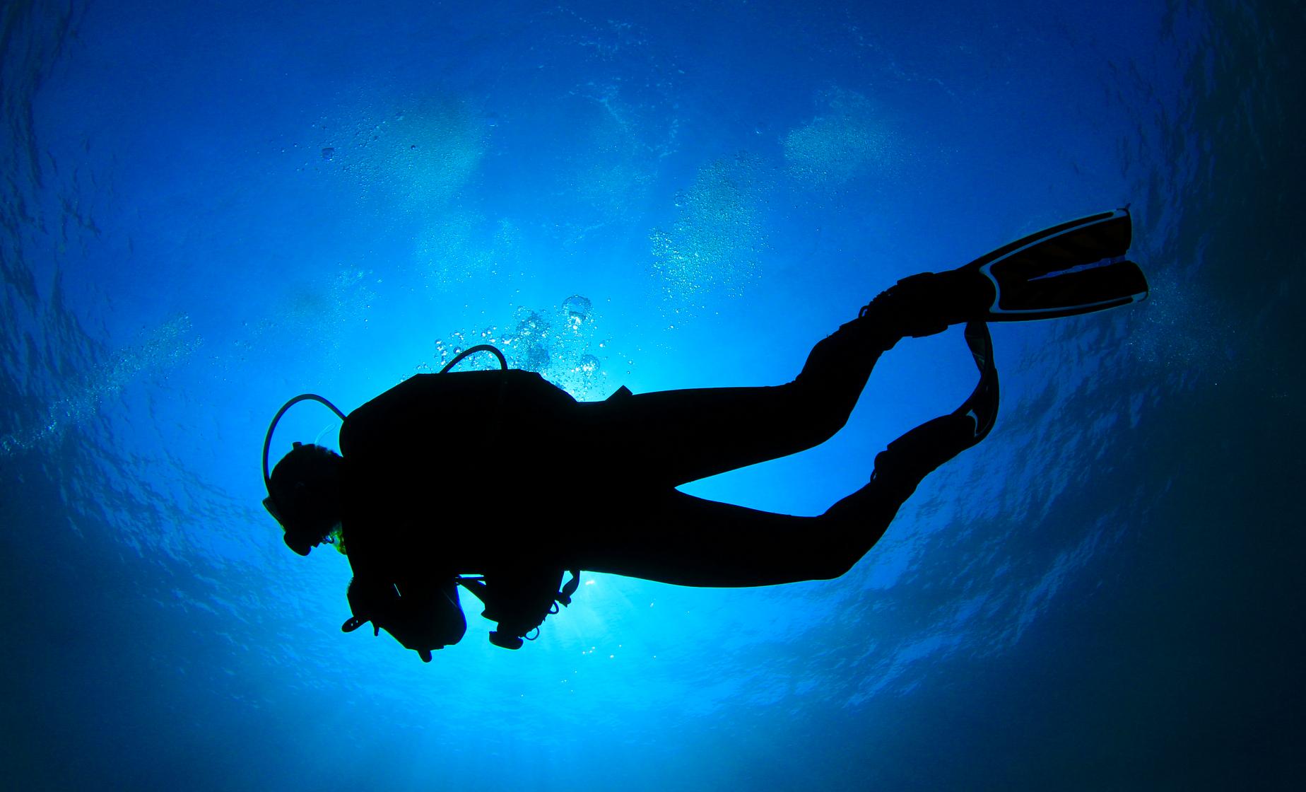 Discover SCUBA - Image 1