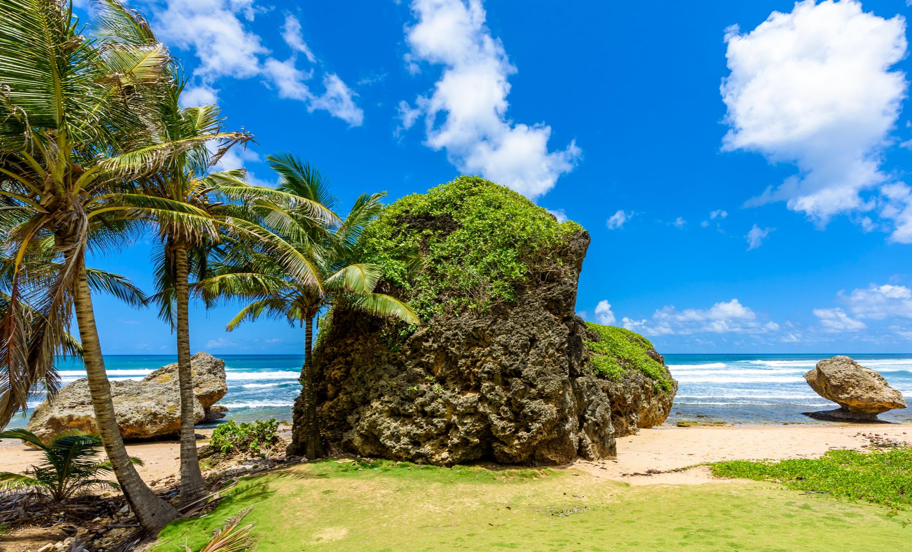 Highlights of Barbados - Image 1