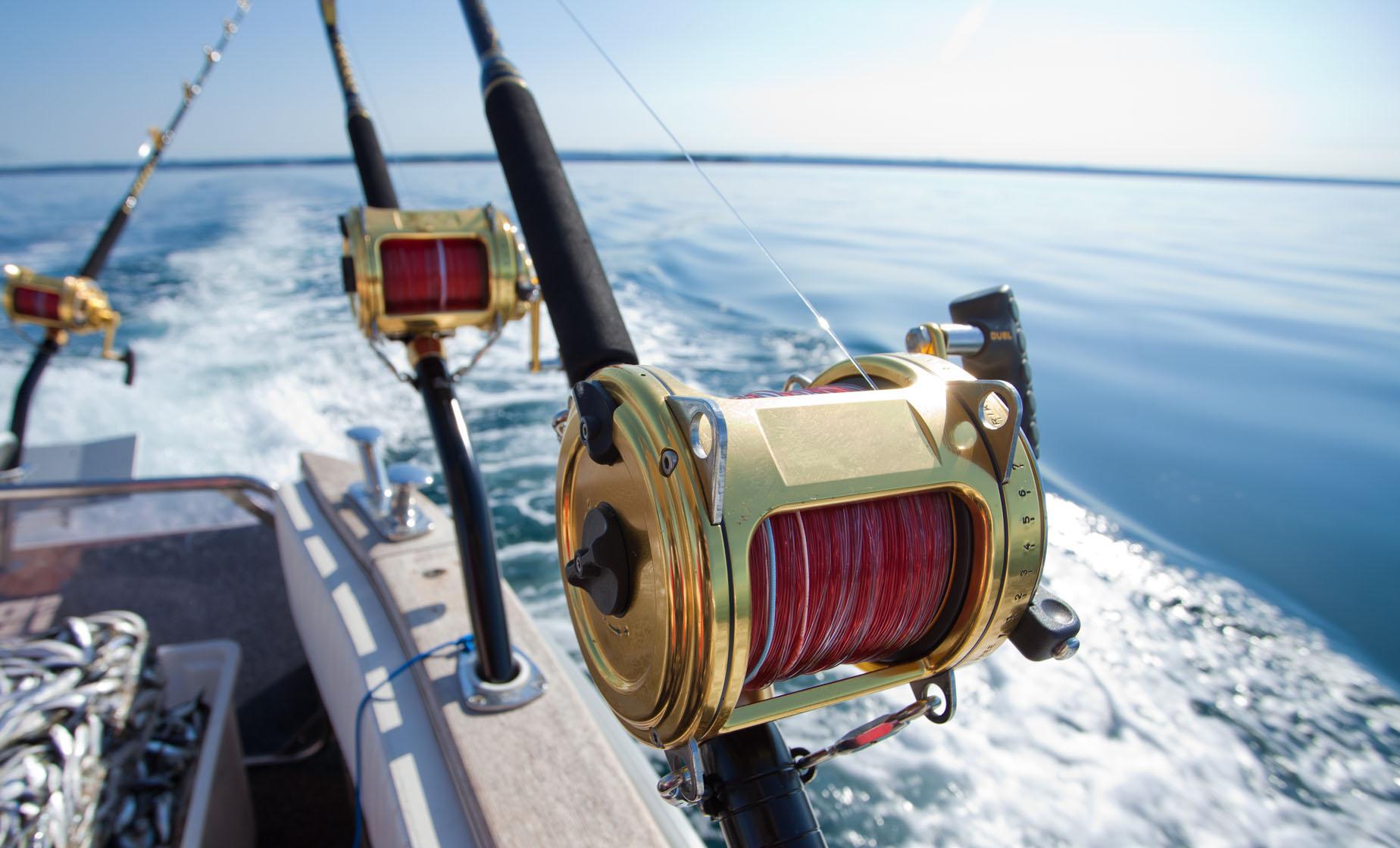 Private Half Day Deep Sea Fishing Charter - Image 1