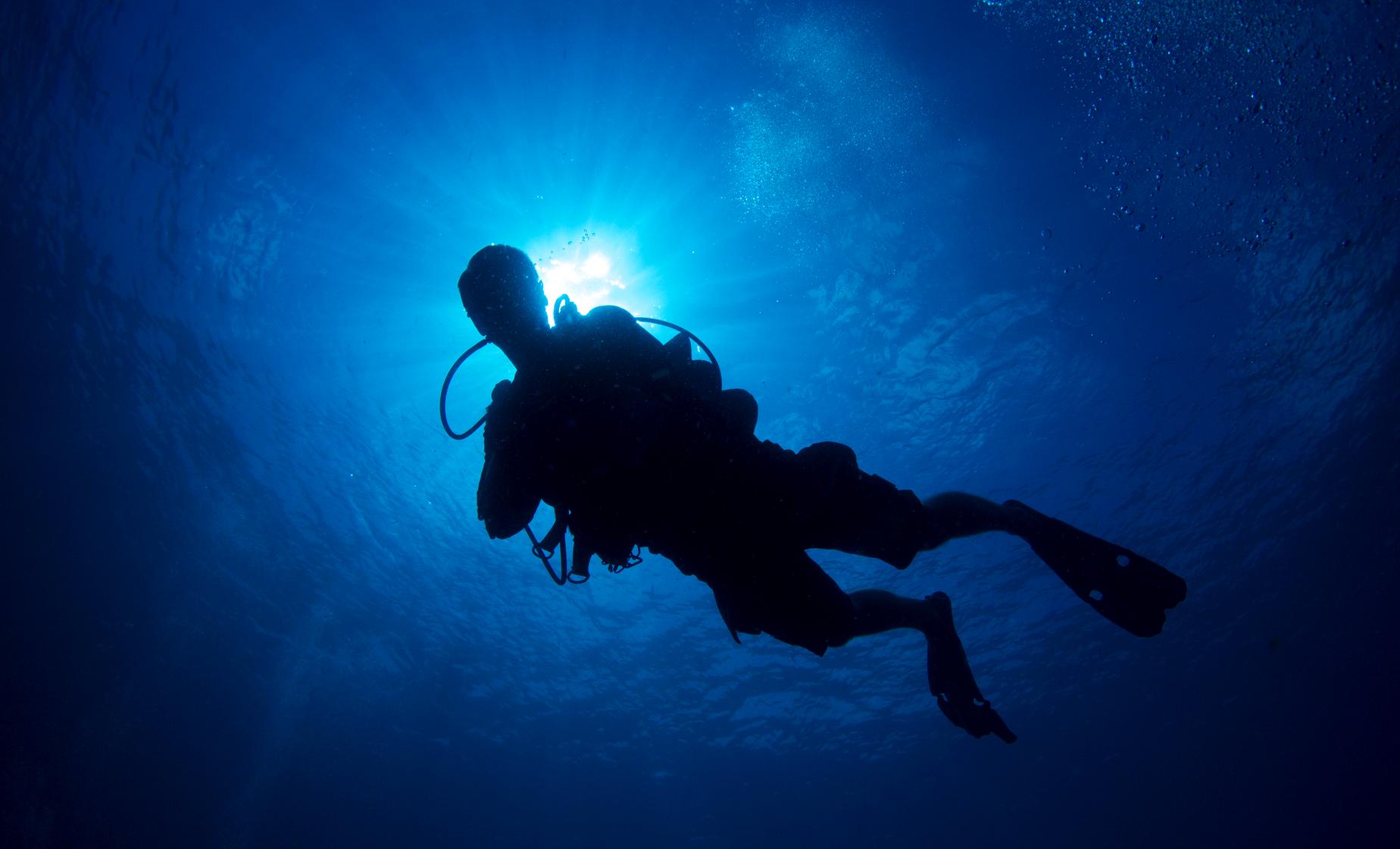 Two Tank Dive - Image 1