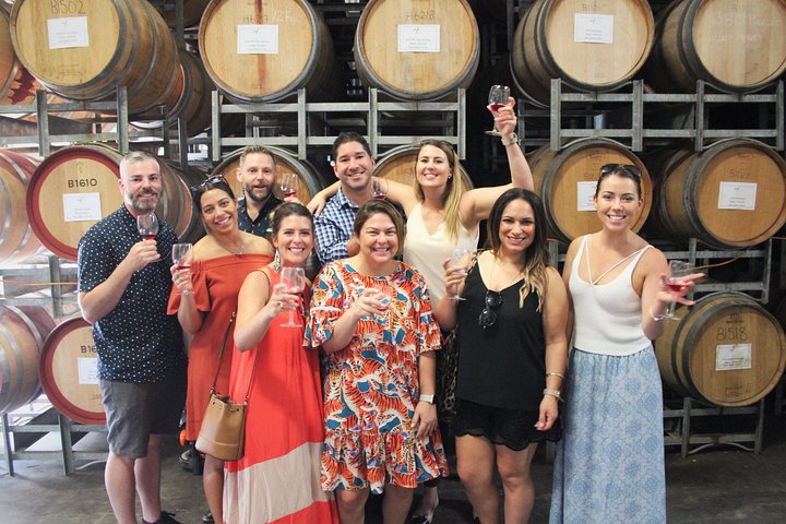 Deluxe Wine Tour to Tamborine Mountain, includes two course lunch - Image 4