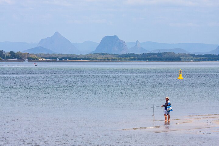 Full Day Birdlife Tour in Bribie Island - Image 2