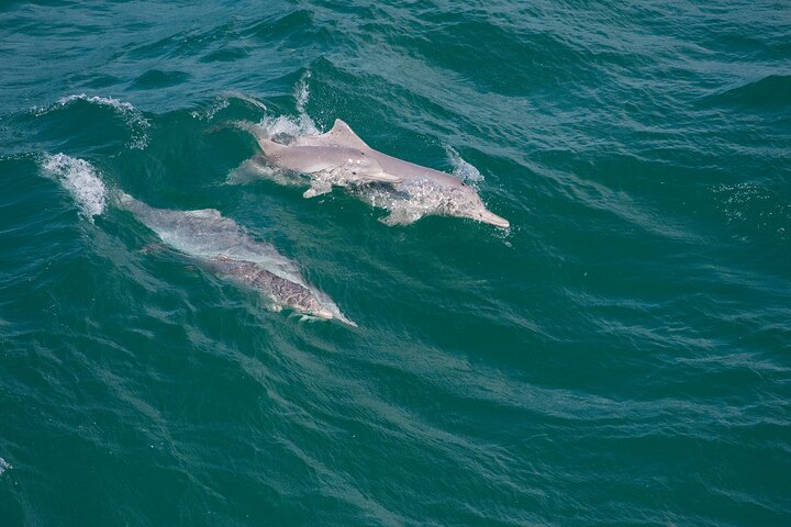 North Stradbroke Island Private Tour with Pickup - Image 5