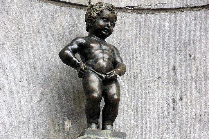 Privat tour : half day in Brussels  - Image 4