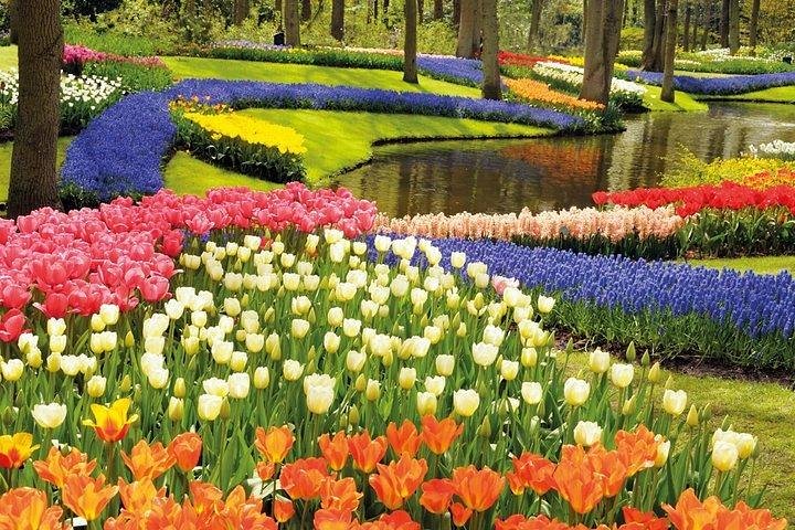 Private tour : Keukenhof Tulips and Delft Tour from Brussels Full day - Image 1