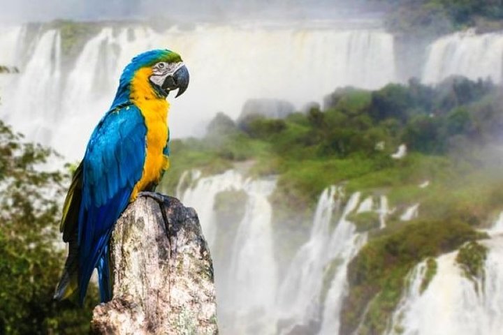 10-Day Best of Buenos Aires and Iguazu Falls Tour - Image 3