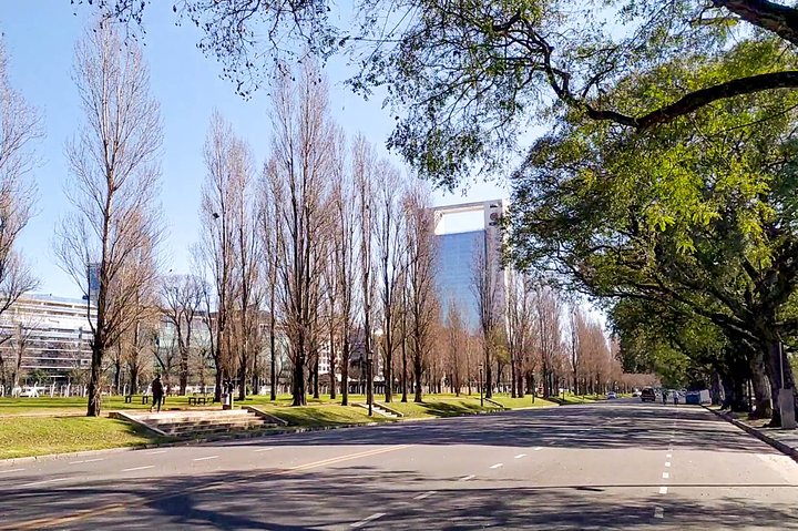 Buenos Aires 360º: take tour with a local tour guide - Image 5
