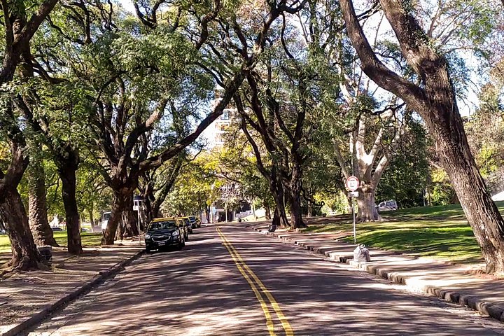 Buenos Aires 360º: take tour with a local tour guide - Image 3