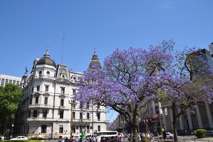 Buenos Aires Private City Tour by Car - Image 2