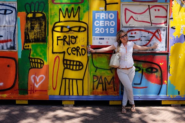 Classic Private Buenos Aires City Tour HD - Image 2